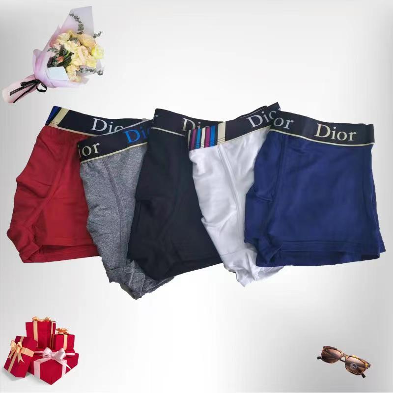 Dior Panties